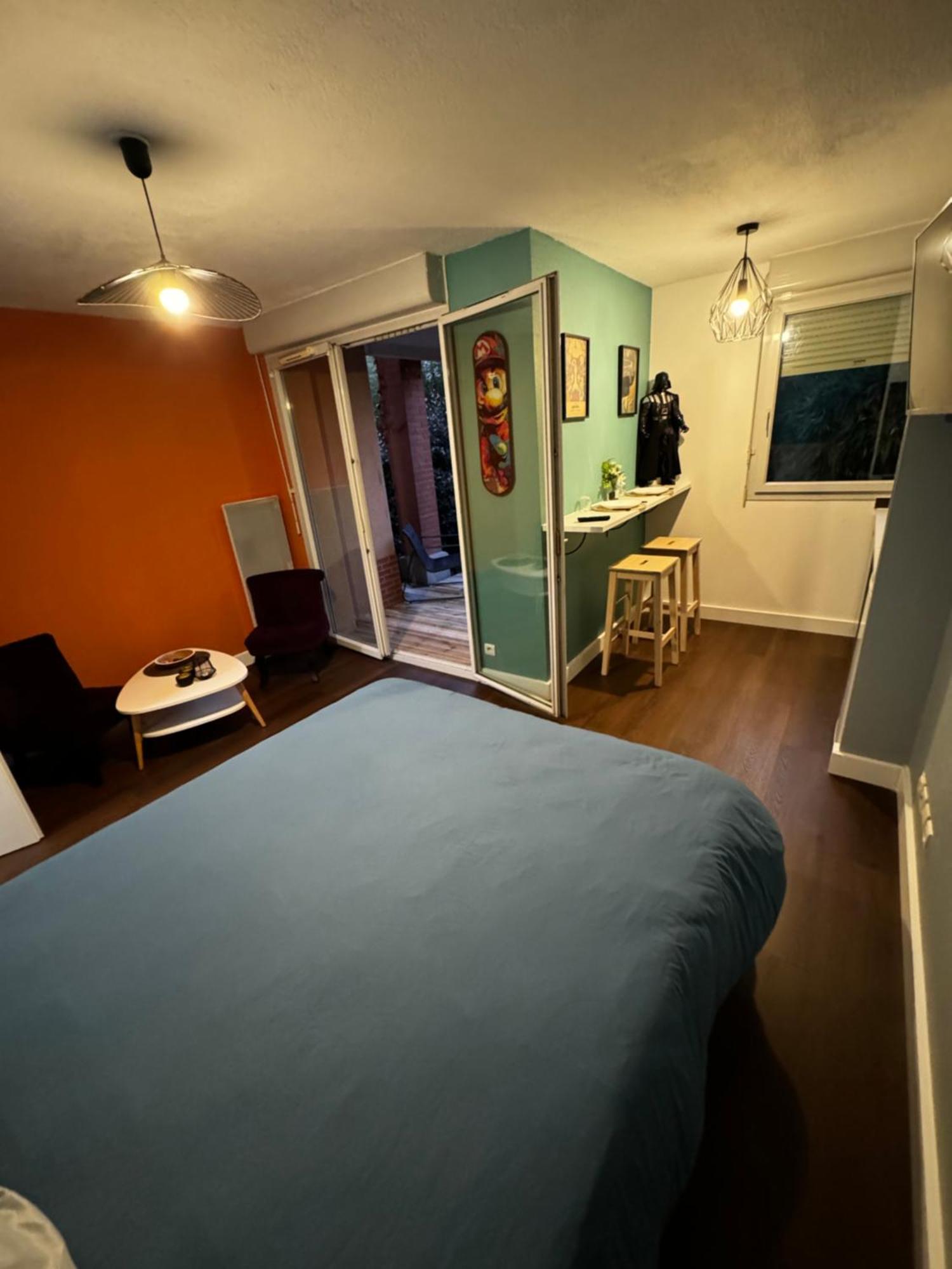 Le Loft Geek Apartment Toulouse Exterior foto