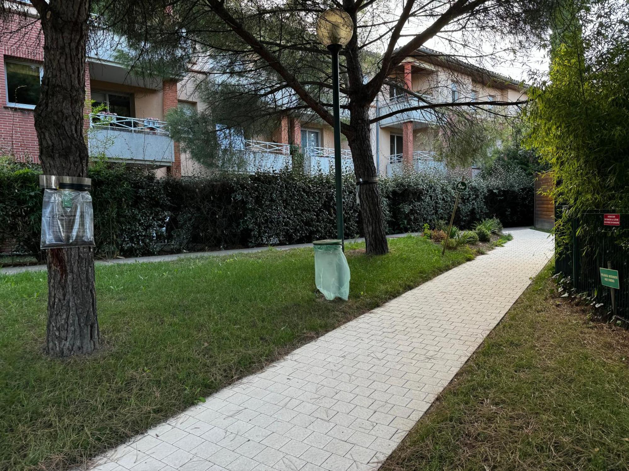 Le Loft Geek Apartment Toulouse Exterior foto